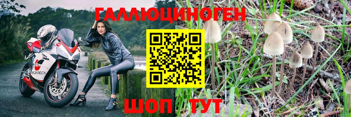 как найти закладки  Вход с VPN  Кизляр  Галлюциногенные грибы прущие грибы 