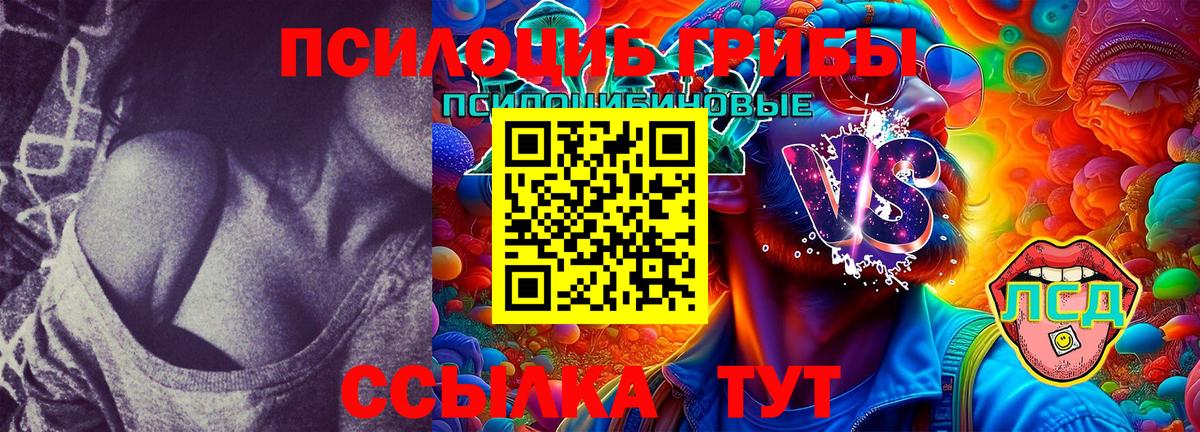 Псилоцибиновые грибы Magic Shrooms Кизляр